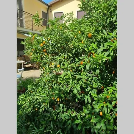 1 Minuto Dal Mare Su Due Piani Con Giardino Holiday home